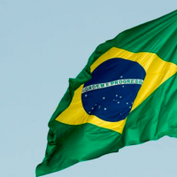 bandeira